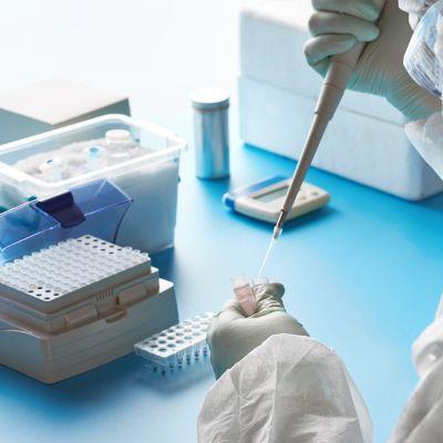 Mycoplasma hominis DNA