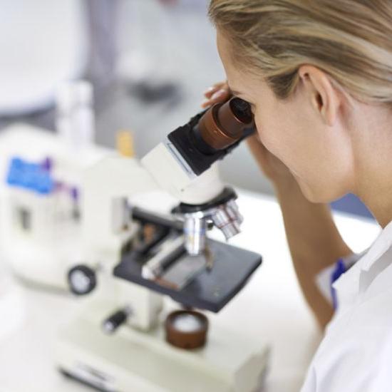 Mycoplasma genitalium DNA jakościowo