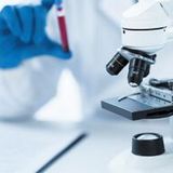 Oral glucose tolerance test (75g - 0, 1h, 2h)