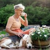 TBE vaccination package for adults - The way to deal with ticks