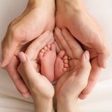 Post-Miscarriage Test Package