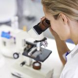 P-ciała przeciwjądrowe ANA - wybrane antygeny (ELISA)