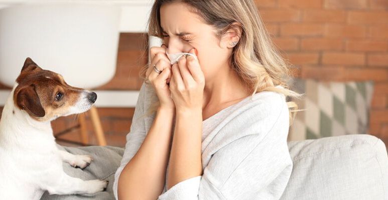 Alergia na zwięrzęta