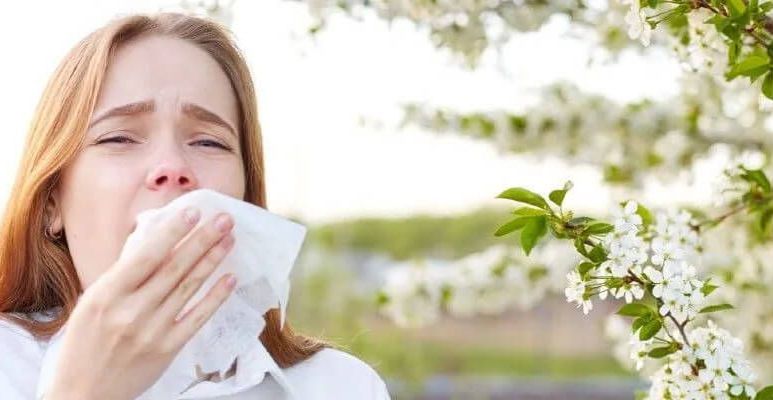 Kalendarz pylenia 2026 – co pyli w marcu i kwietniu?