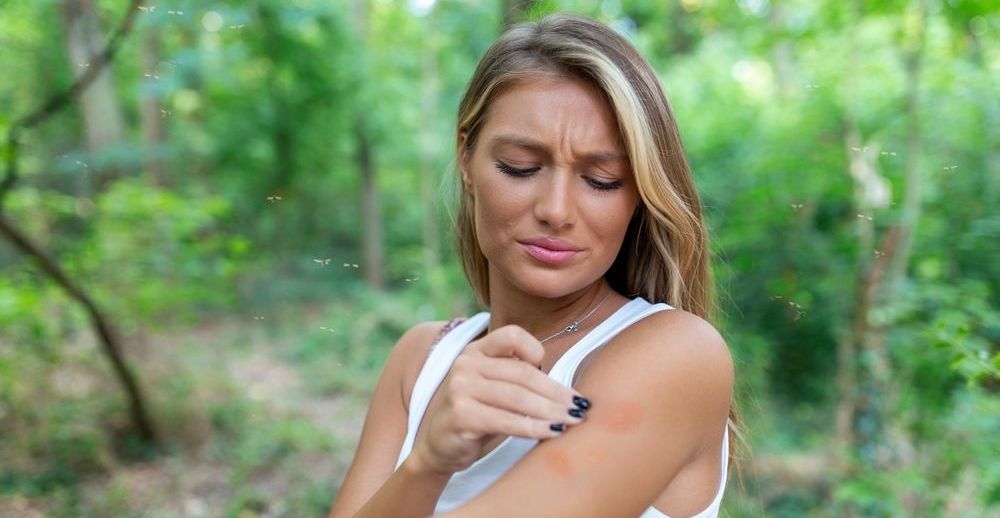 Jak rozpoznać ukąszenie owada?