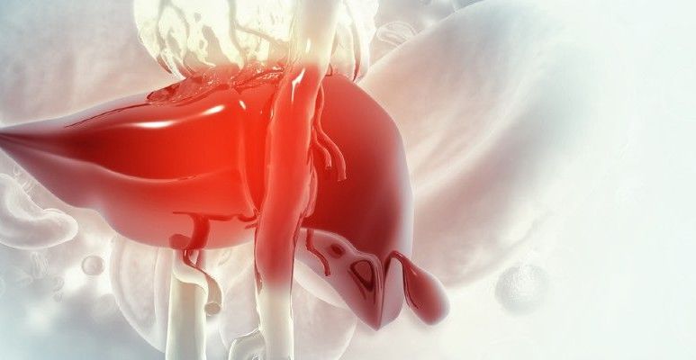 Wątroba – objawy chorób i sposoby wsparcia