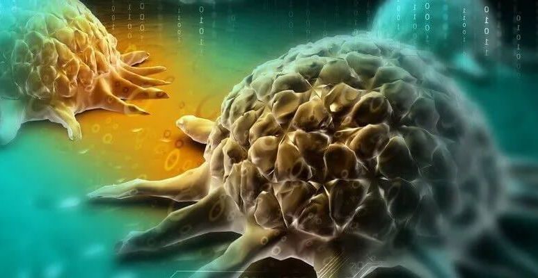 Grafika przedstawiająca wirus RSV