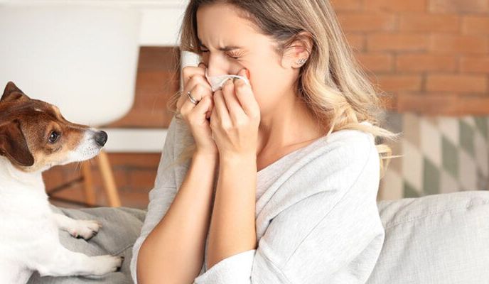 Alergia na zwięrzęta