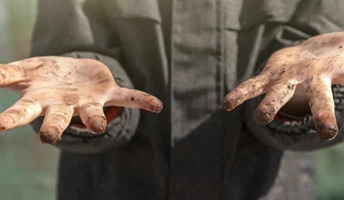 Owsica to choroba pasożytnicza przewodu pokarmowego.