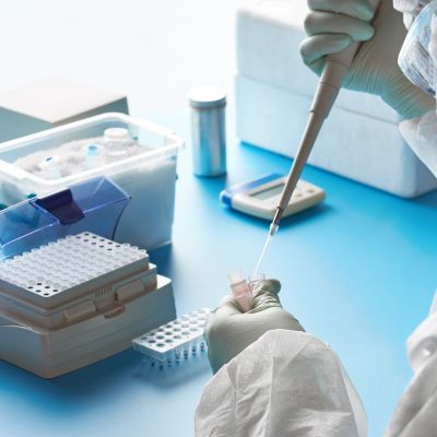 Mycoplasma hominis DNA