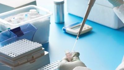 Trichomonas vaginalis DNA