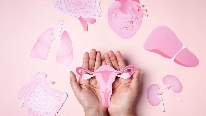 Profil hormonalny dla kobiet rozszerzony