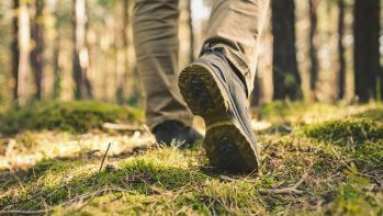 TBE vaccination package for adults - The way to deal with ticks - with qualification visits