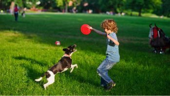 Szczepienie przeciwko kleszczowemu zapaleniu mózgu (KZM) dla dzieci