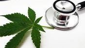 Terapia medyczną marihuaną – wizyta kwalifikacyjna