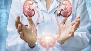Badanie nerek - Nerki pod kontrolą