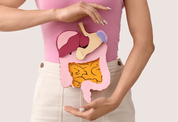 Digestive Comfort