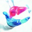 Badanie wątroby - Wątroba pod kontrolą