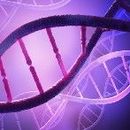 Mutacja genu CFTR - badanie w kierunku mukowiscydozy