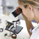 P.ciała przeciw Helicobacter pylori IgG ilościowo