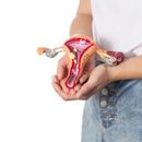 Cytologia płynna (LBC) szyjki macicy z genotypowaniem HPV 28 z pobraniem w Centrum Medycznym