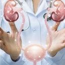 Badanie nerek - Nerki pod kontrolą