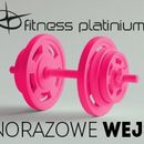 Fitness Platinium wejście jednorazowe