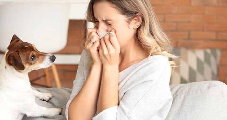 Alergia na zwięrzęta