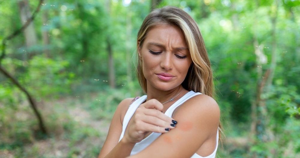 Jak rozpoznać ukąszenie owada?