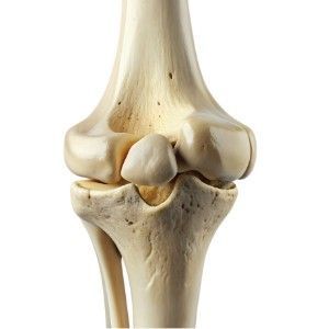 Densytometria kręgów lędźwiowych + 1 szyjka kości udowej