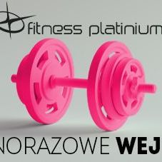 Fitness Platinium wejście jednorazowe