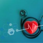 ScanActive 2 (premium)