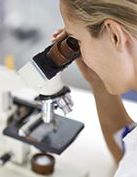 Przeciwciała przeciw Borrelia IgM