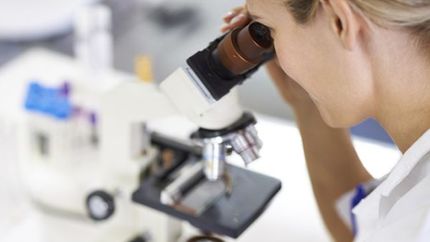 P.ciała przeciw Bordetella Pertussis IgM