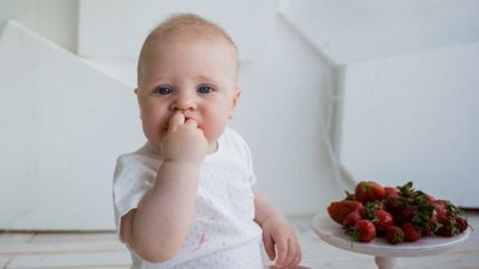 Pakiet „Alergia pokarmowa u dzieci”– próba prowokacyjna i badania
