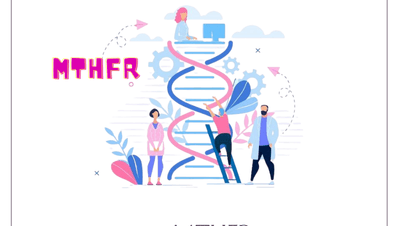 gen MTHFR – mutacje A1298C, C677T
