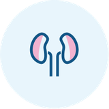 Pakiet Laboratoryjny nerka