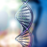 Genetic consultation before the CGT test