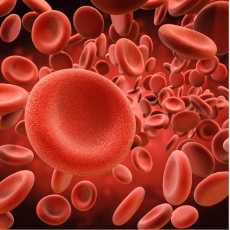 Diagnostyka predyspozycji genetycznych do zakrzepicy