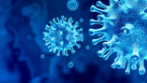 SARS-Cov-2 coronavirus test for IgG antibodies