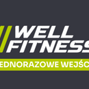 Well Fitness wejście jednorazowe