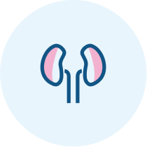 Pakiet Laboratoryjny nerka