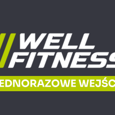 Well Fitness wejście jednorazowe