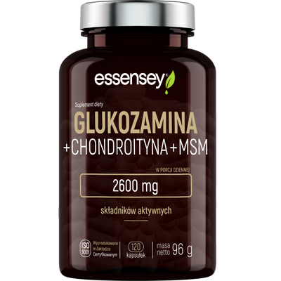 Glukozamina Chondroityna i MSM w 120 kapsułkach