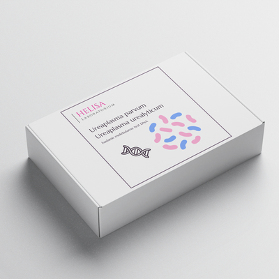 Ureaplasma parvum + U. urealyticum