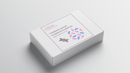 Ureaplasma parvum + U. urealyticum