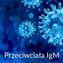 Koronawirus SARS-Cov-2 test wykrywający przeciwciała IgM