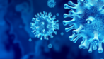 Koronawirus SARS-Cov-2 test wykrywający przeciwciała IgG